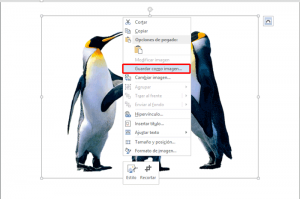 Guardar-como-imagen