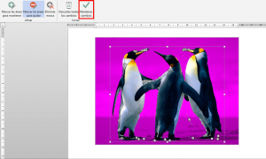 Quitar el fondo de una imagen en Office 2013