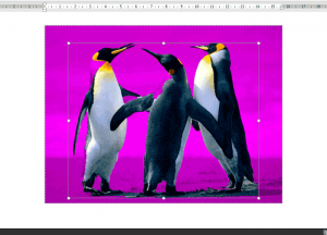 Seleccion automatica de fondo Office