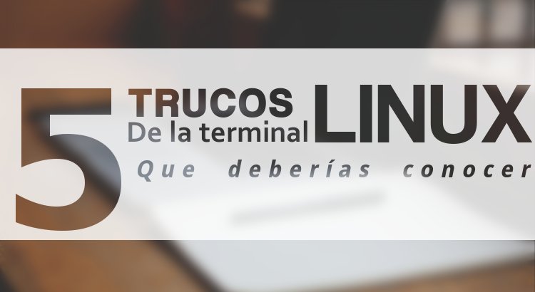 5 trucos de la terminal de Linux que todo usuario deberia saber